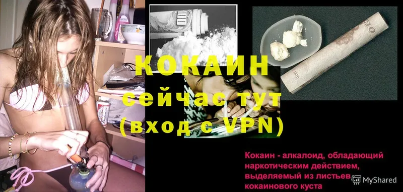 где купить наркотик  Печора  Cocaine Эквадор 